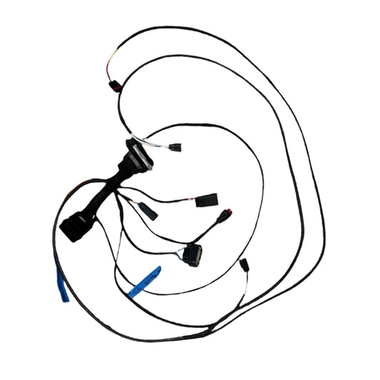 2004-2008 F150 6R80 ONLY Swap Harness